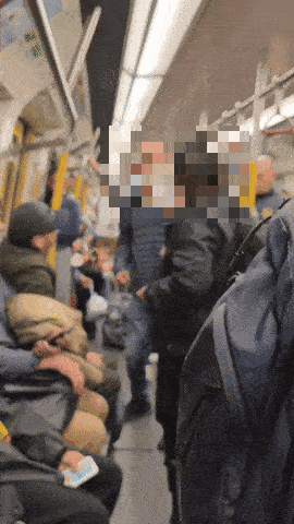 elderly man punched passenger