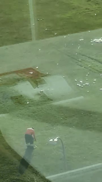 cleaner picking up rubbish