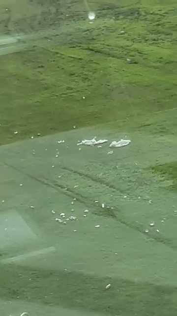 rubbish scattered across field