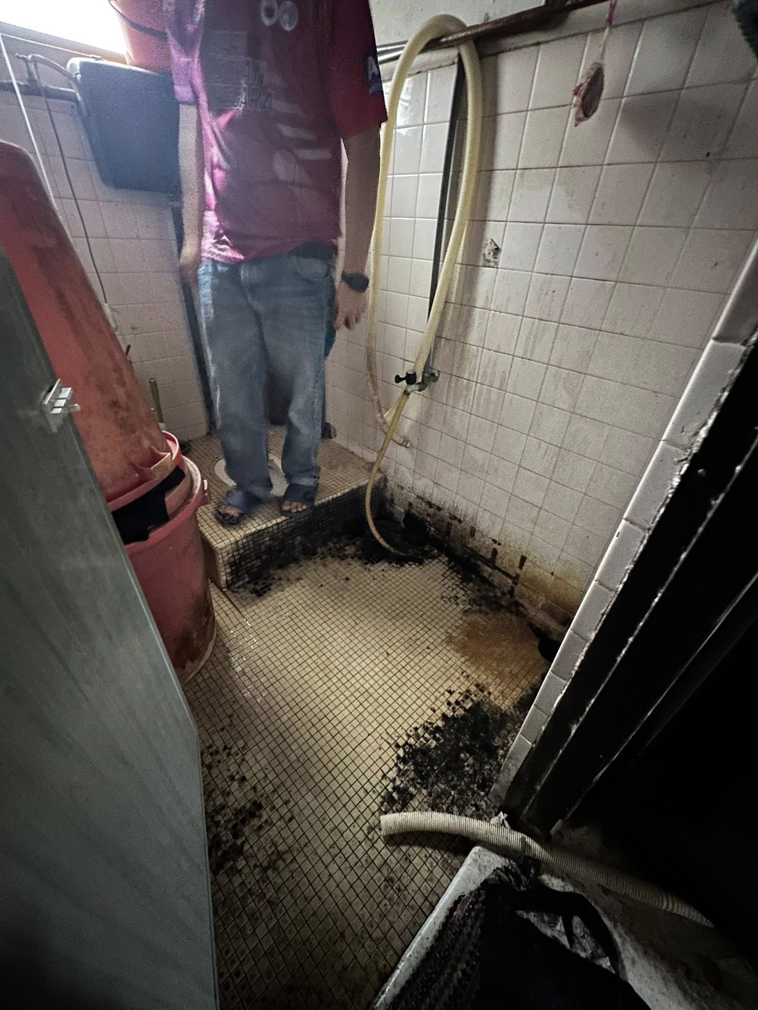 house mouldy maggot-infested (1)