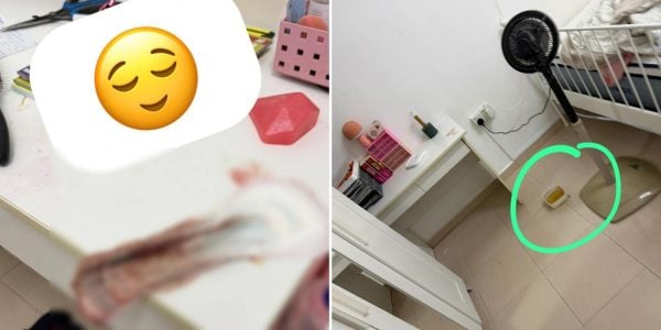 housemate used sanitary pad