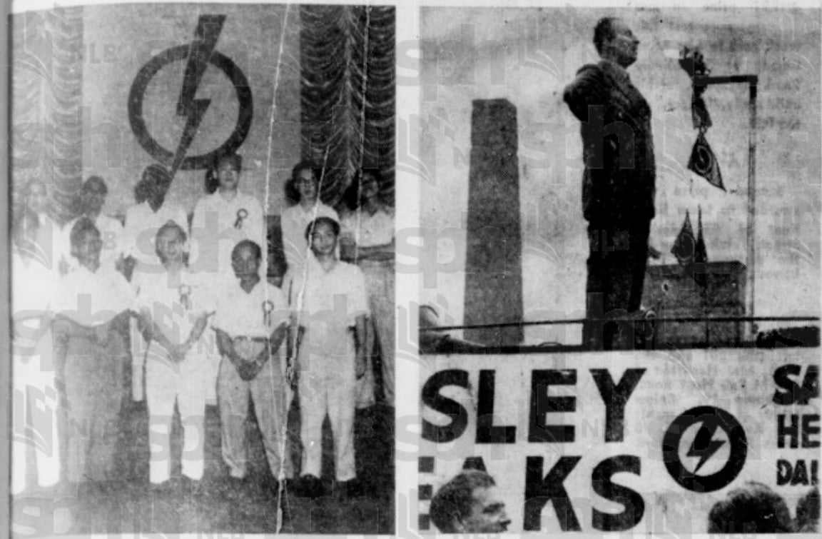 logo pap advertisement newspaper