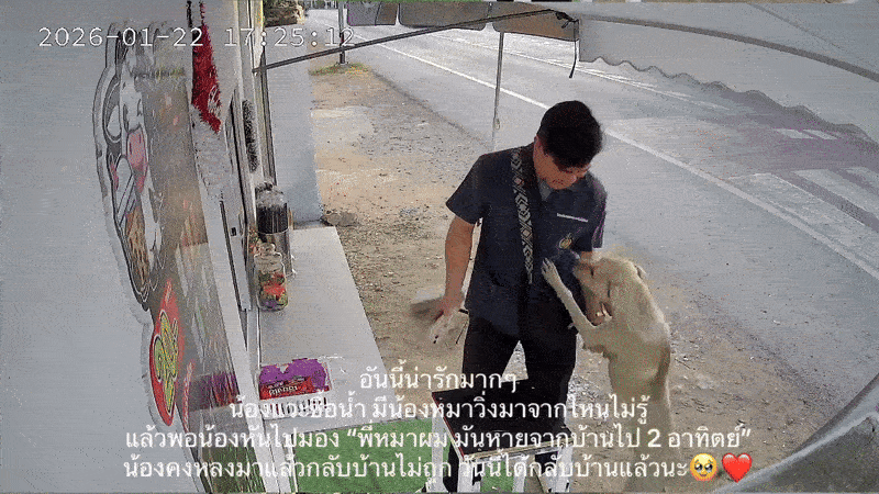 man reunited dog drinks hug