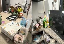 man wrecks house dishwasher