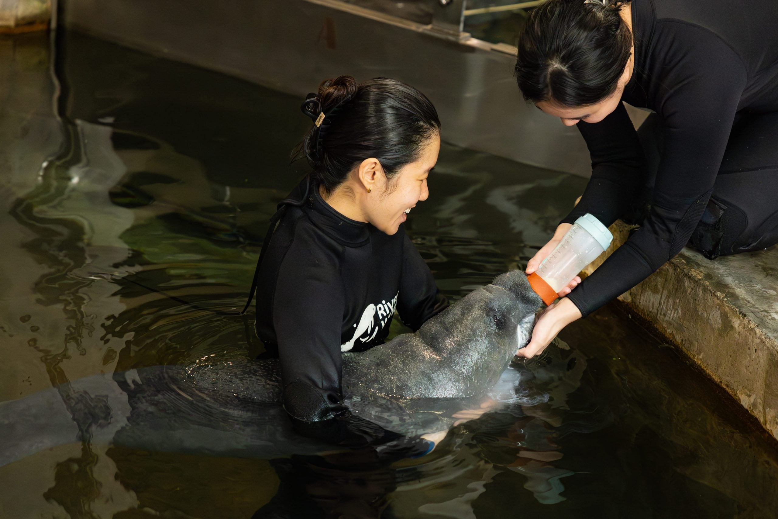 mandai wildlife baby