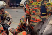 monkey gas station penang