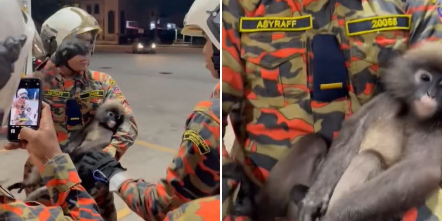 monkey gas station penang