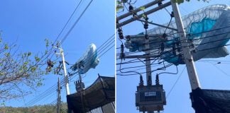 paraglider pole thailand