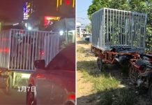 person transported cage cambodia