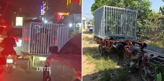 person transported cage cambodia