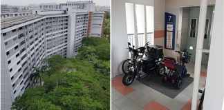 pmas-lift-hdb-bedok-north (1)