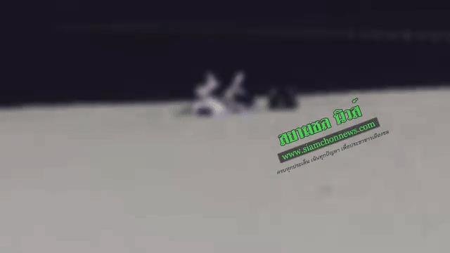 police tourist public sex video