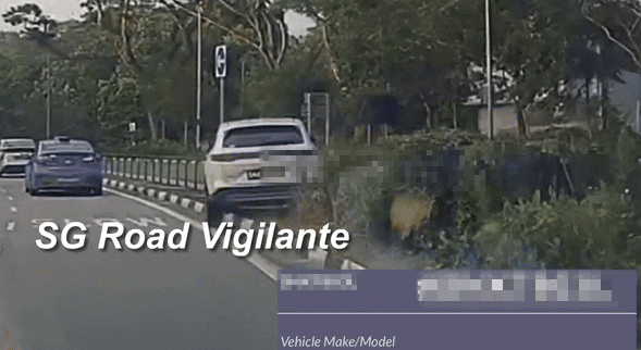 car road divider railings