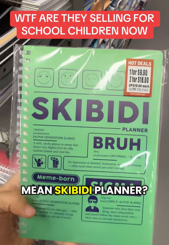 skibidi planner (3)