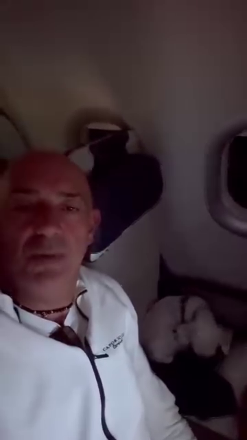 tourist taxi driver dog plane