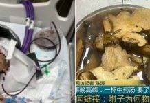 traditional chinese medicine