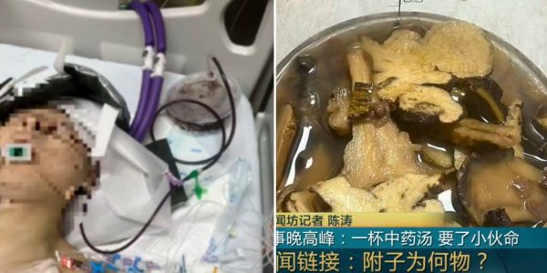 traditional chinese medicine