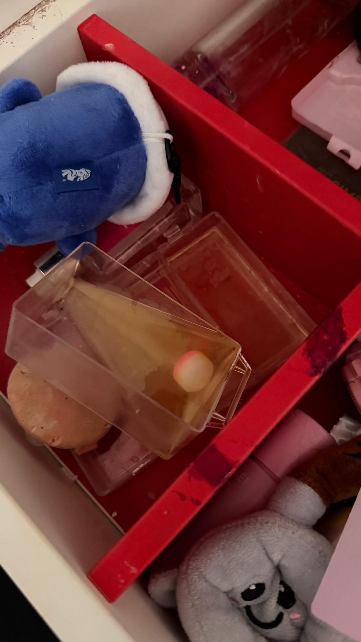 unhygienic housemate (2)