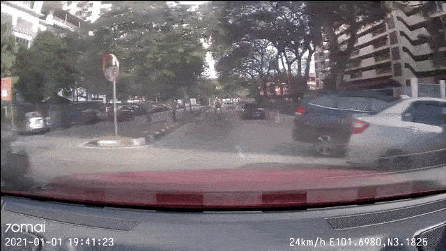 woman cancer hit-and-run footage