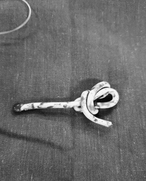 boy network cable urethra