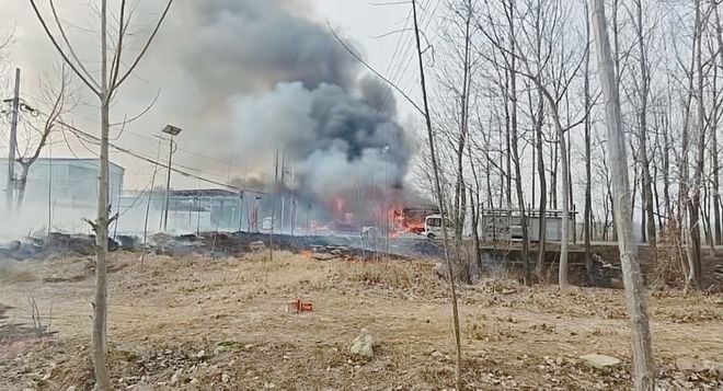 eight killed fireworks shop