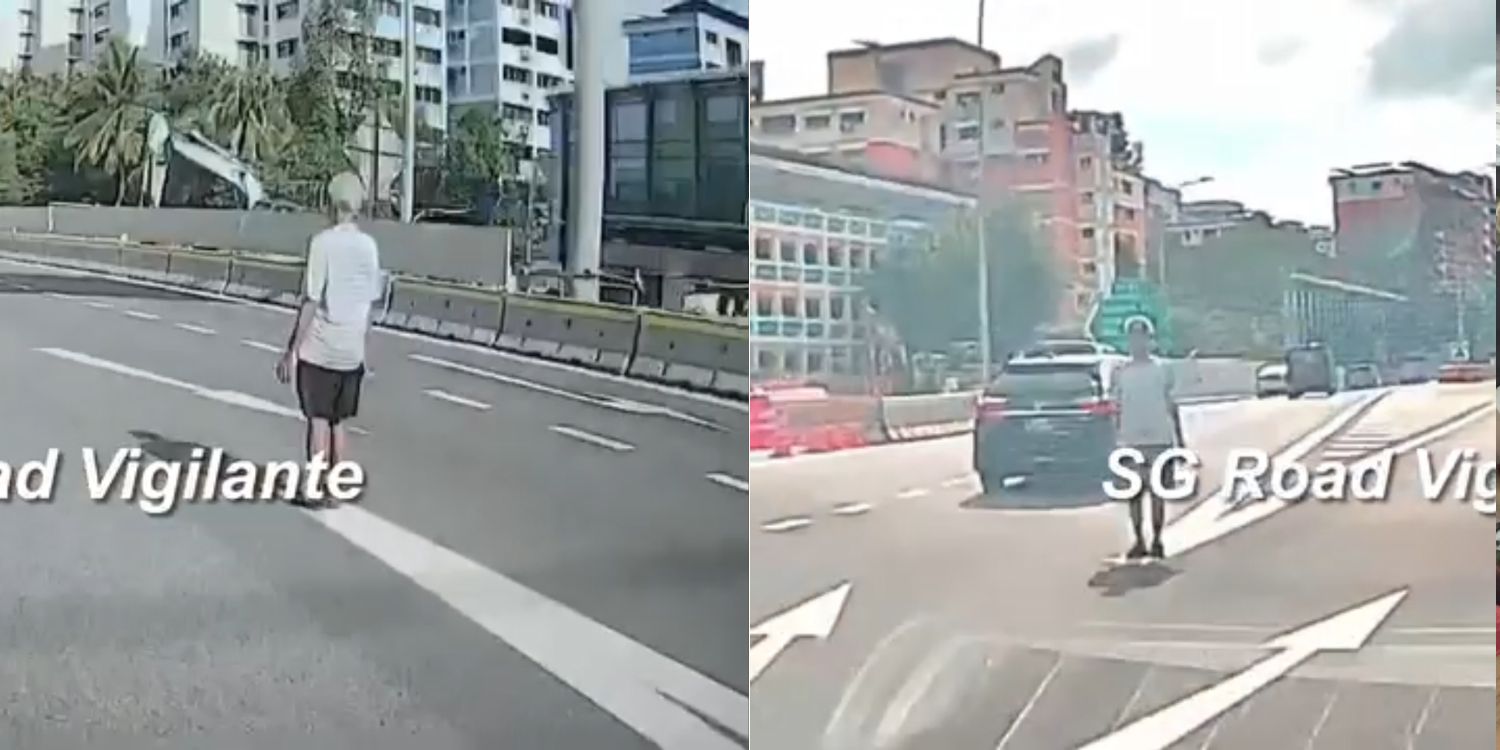 Elderly man stands on chevron markings along TPE, sparks concern among netizens