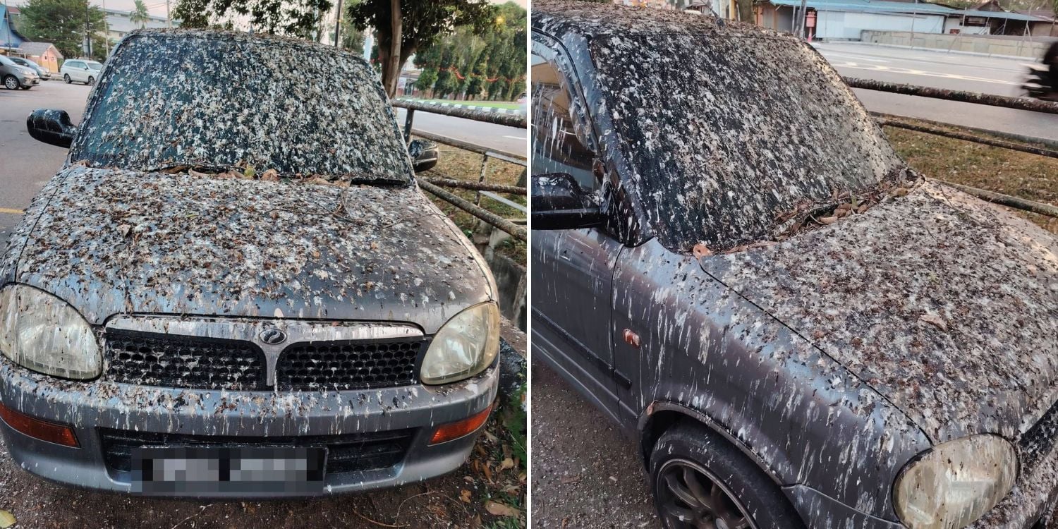 Perodua car bird droppings