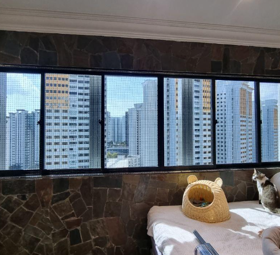 cat nearby window with mesh