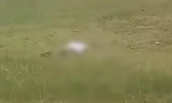 indonesia plane shot landing