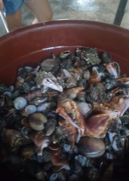 food vlogger devil crab