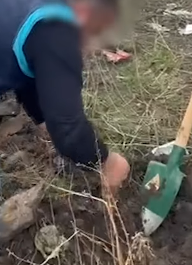 thief jewellery store donkey