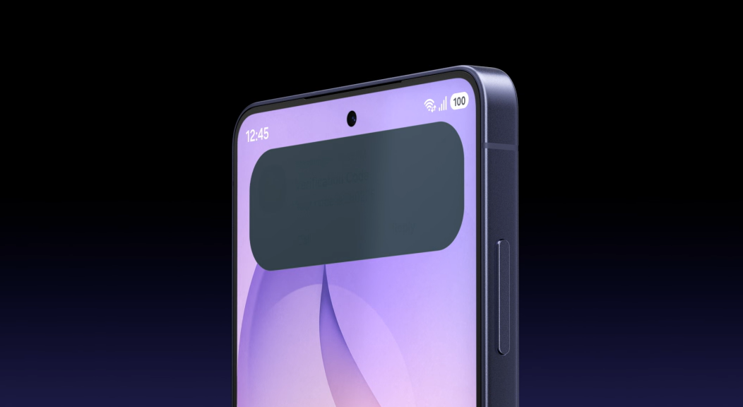 partial privacy display