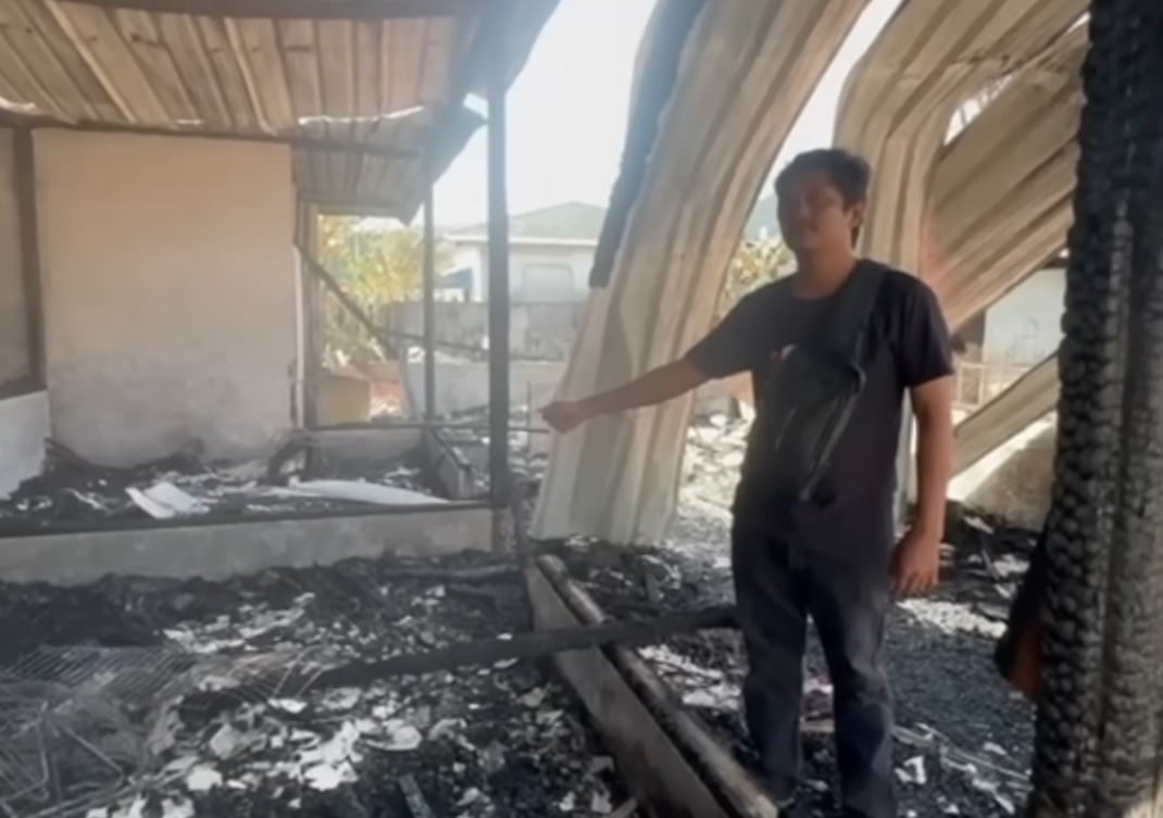 cat saves burning home wreck