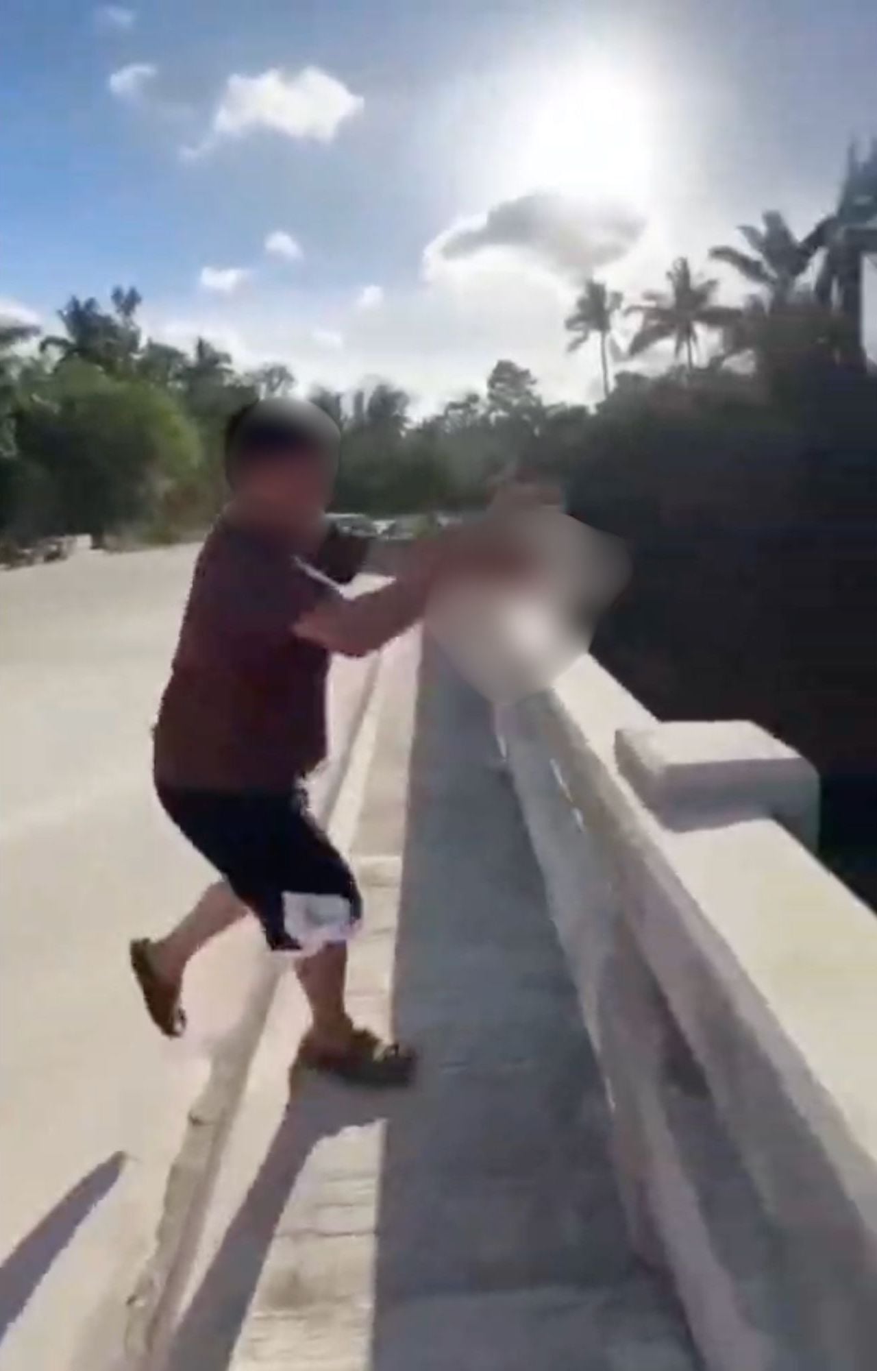 cat throw bridge philippines