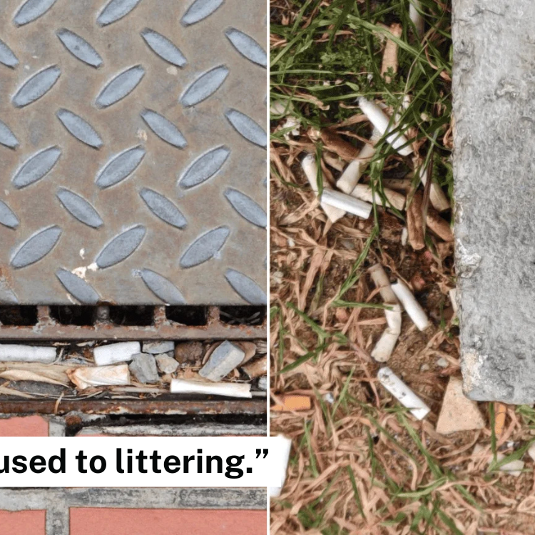 'Cigarette butt nation': S'porean with rhinitis calls out littering &  second-hand smoke, demands tougher action