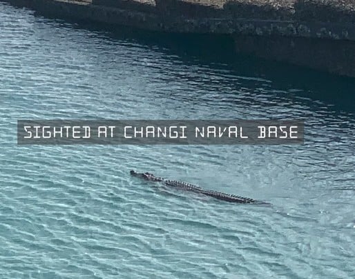 changi naval base crocodile