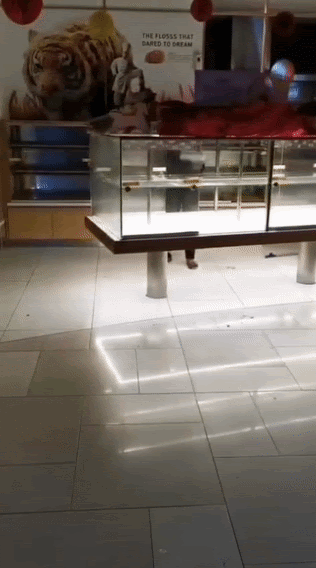 cleaner sweeping bread shelves