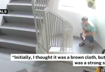 man taking a dump at hdb staircase landing
