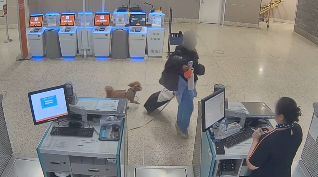 Woman abandons dog at US airport after paperwork issue, gets arrested ...