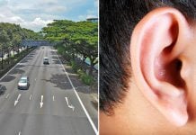 ear bitten off