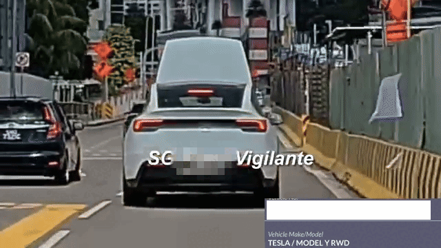 tesla brakes and stops