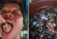 food vlogger devil crab