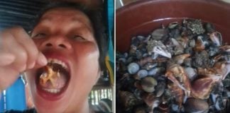 food vlogger devil crab