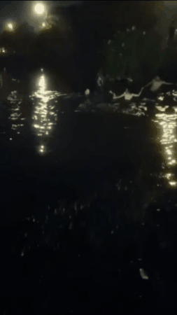 youths car sunk saved