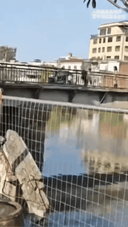 father threw toddler river