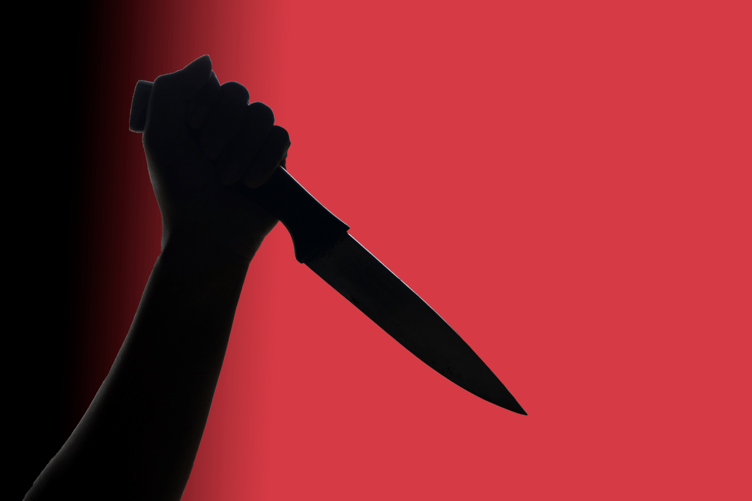 crime cases spf 2025