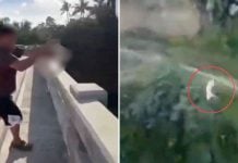 man throws cat bridge philippines