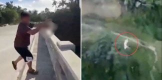 man throws cat bridge philippines