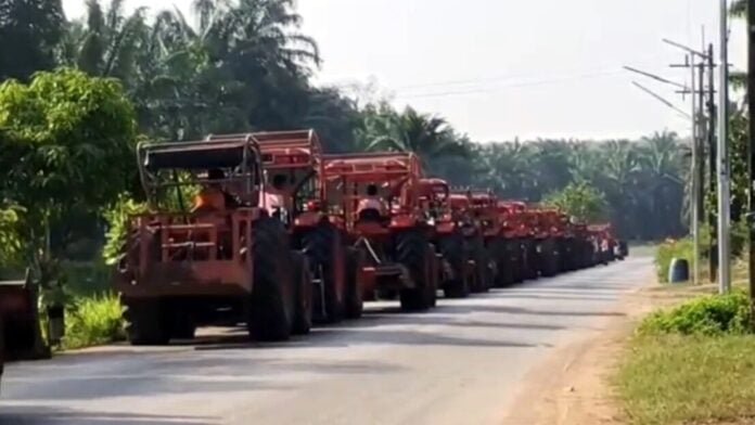 groom 20 tractors wedding