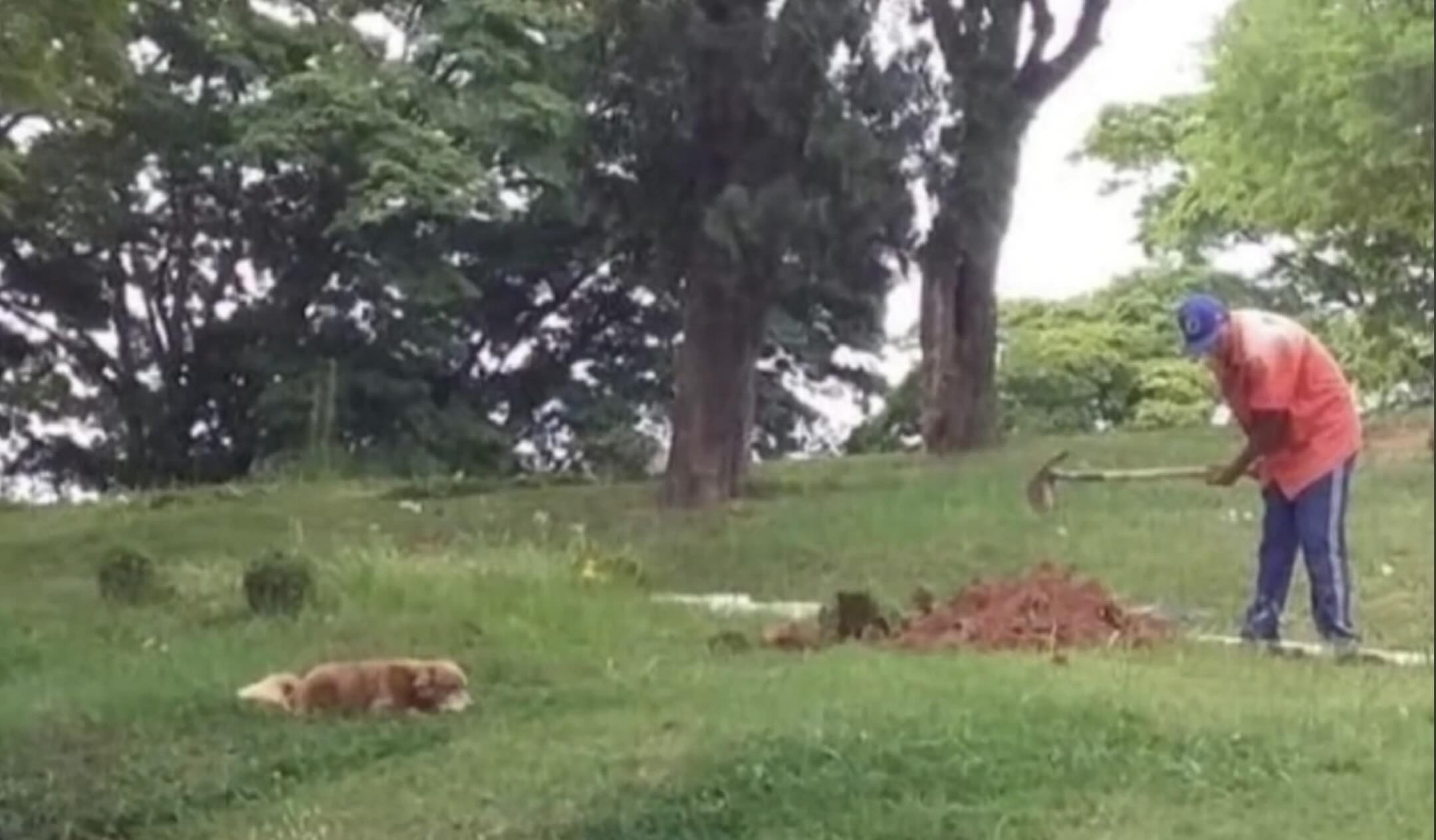 pets buried family grave brazil (2)